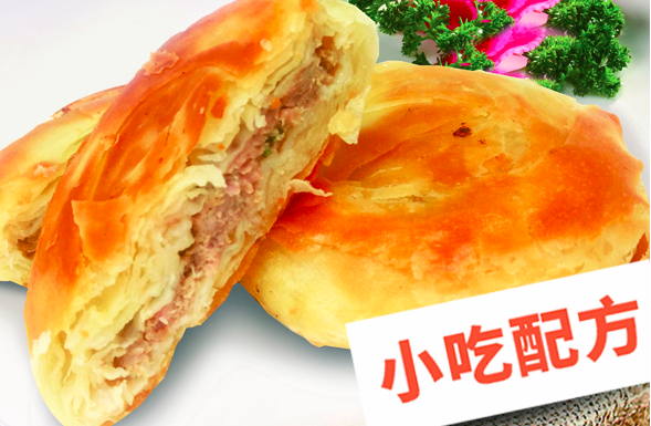 香酥牛肉饼,馅饼的做法和制作教程,正宗技术培训教程配方教学视频 馅饼 牛肉饼 第1张 香酥牛肉饼,馅饼的做法和制作教程,正宗技术培训教程配方教学视频 馅饼 牛肉饼 第1张