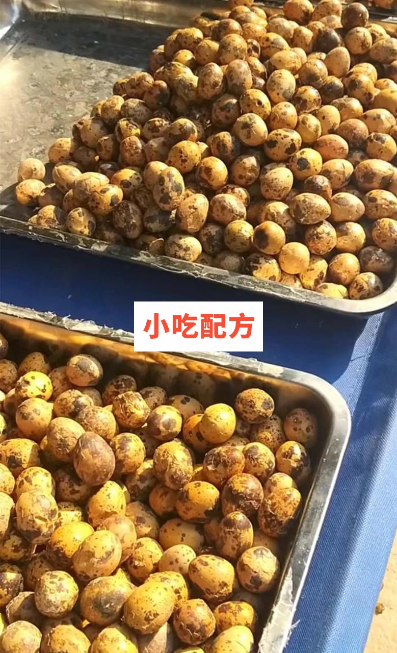 老北京熏鸟蛋技术配方视频教程 小吃技术联盟配方资料 第2张 老北京熏鸟蛋技术配方视频教程 小吃技术联盟配方资料 第2张